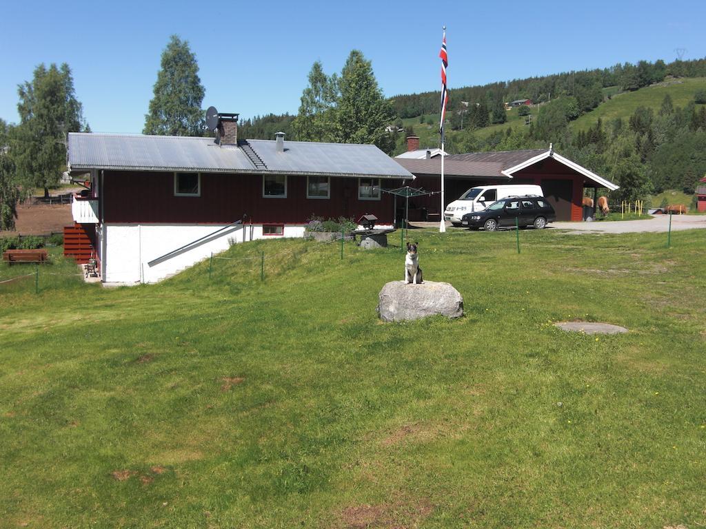 Asgardane Gjestegard Gol Oda fotoğraf